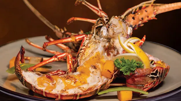 Special Lobster Dinner